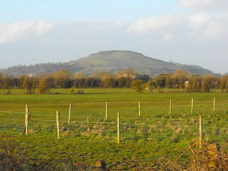 Brent Knoll