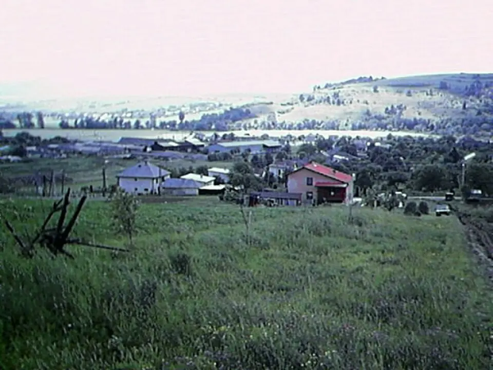 Brezov