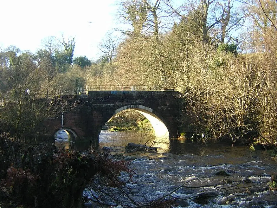 Rotten Calder