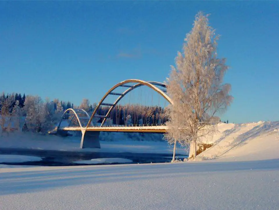 Rödåsel