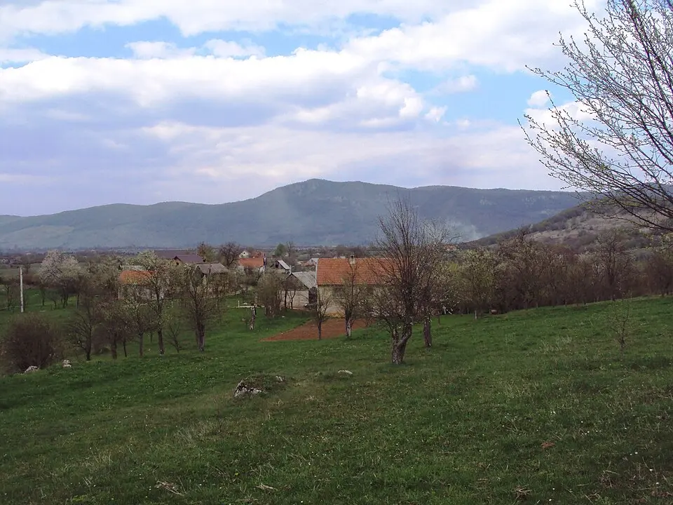 Bild: Fraxinus Croat · CC BY-SA 3.0 Brloška Dubrava