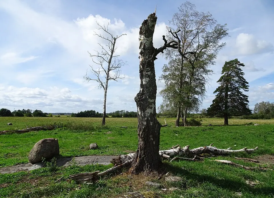 Broängarna naturreservat