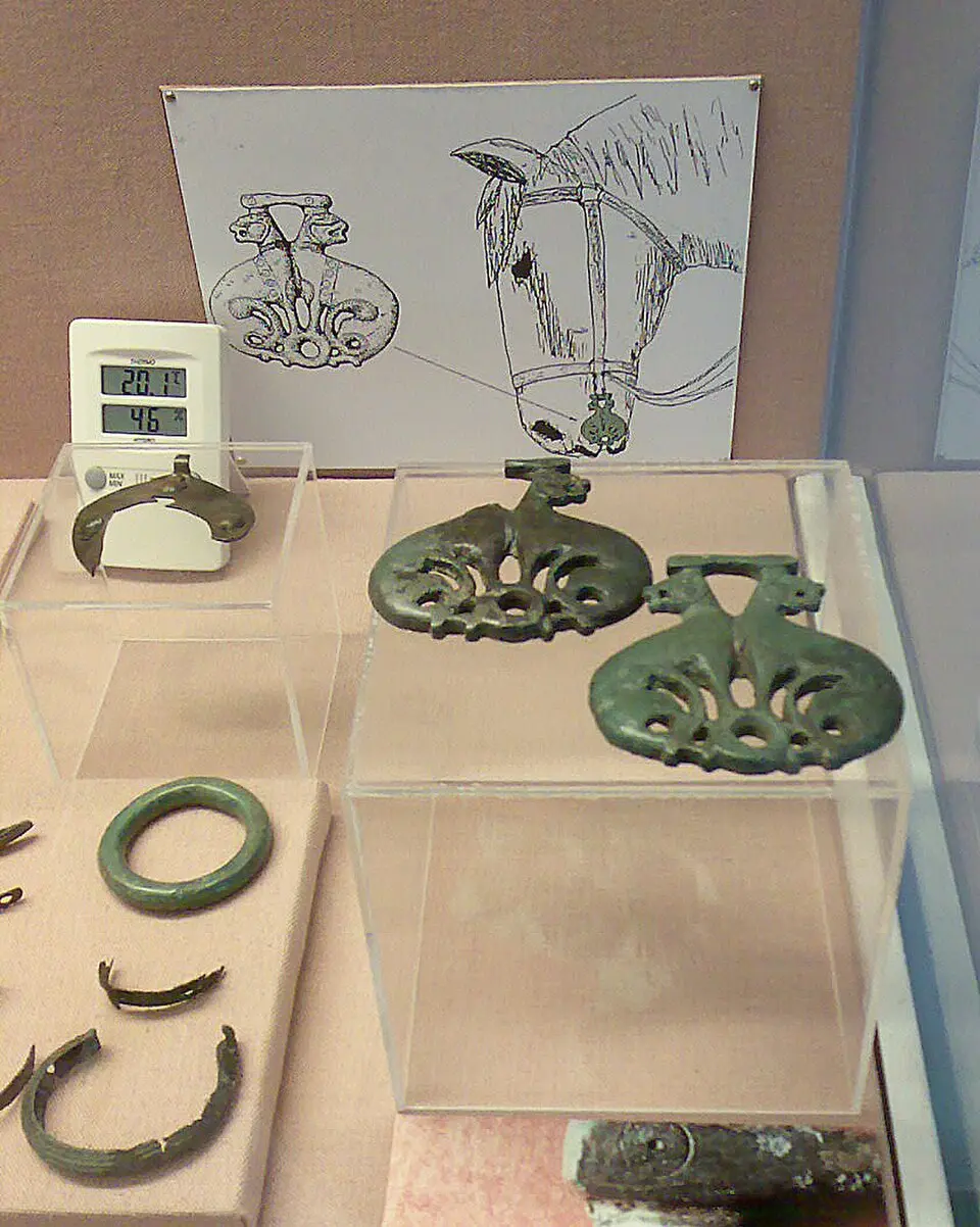 Museo do Castro de Viladonga