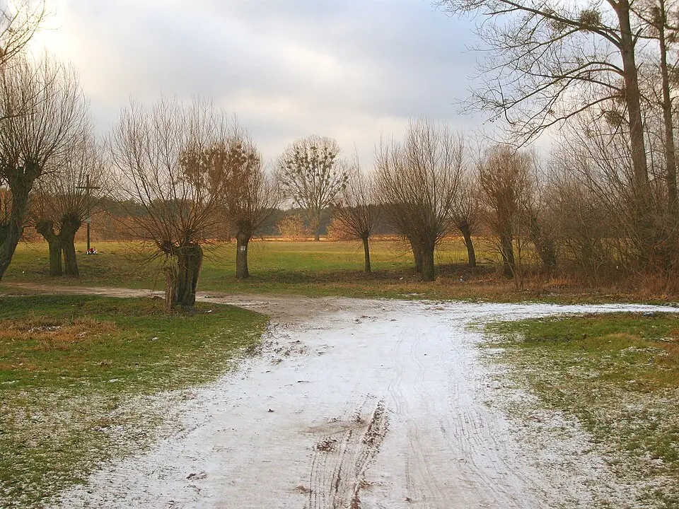 Brochów