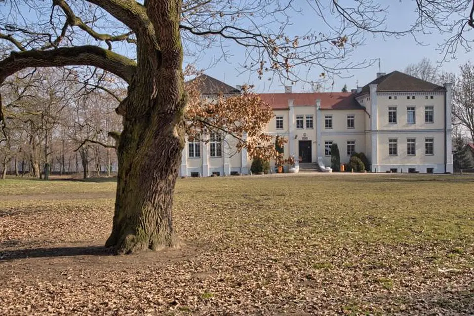 Pałac w Broniewicach