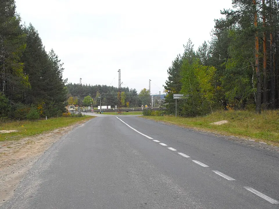 Бронная Гара