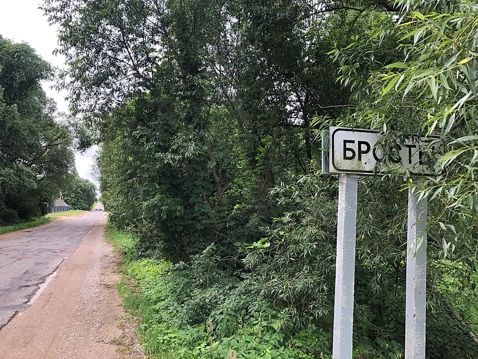 Бросты