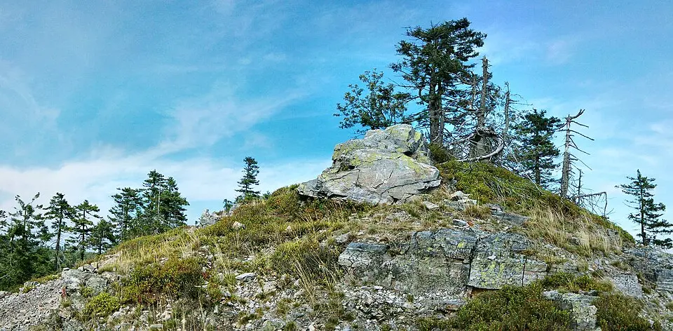 Brousek