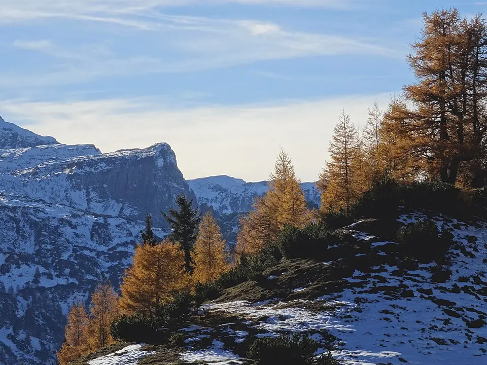 Graihorn