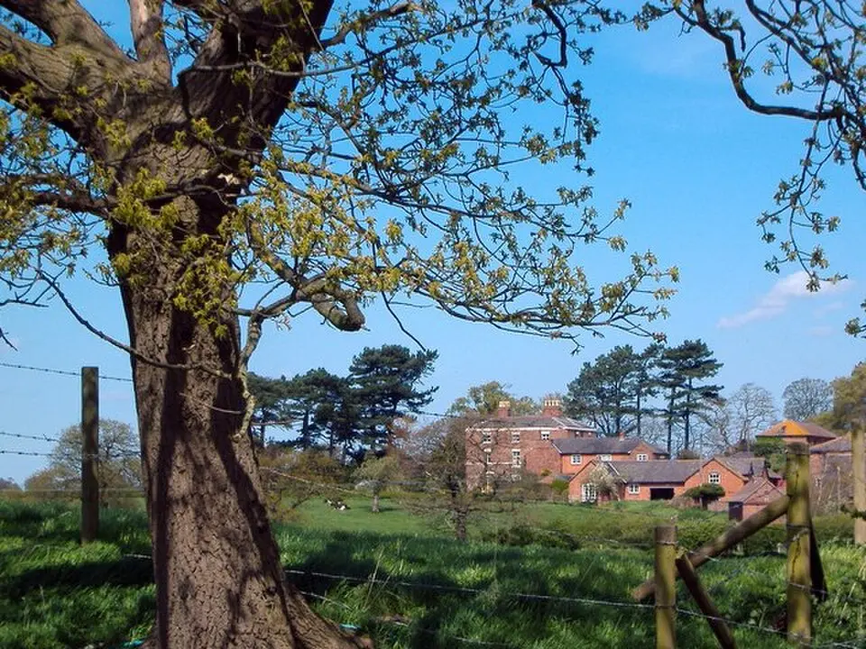Bruen Stapleford