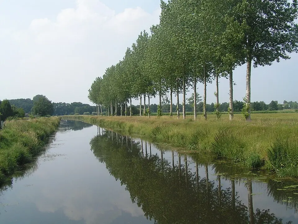 Aa