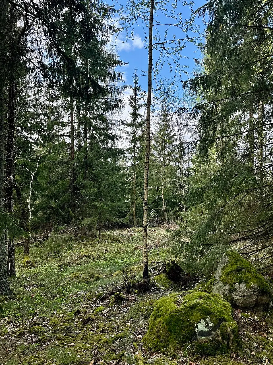Brunnstaåsen