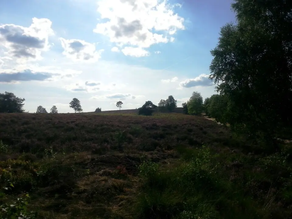 Obrázok: Heide-Daniel · CC BY-SA 3.0 Brunsberg