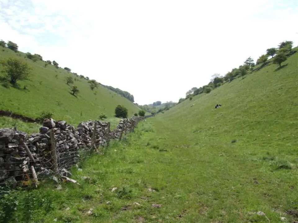 Brushfield