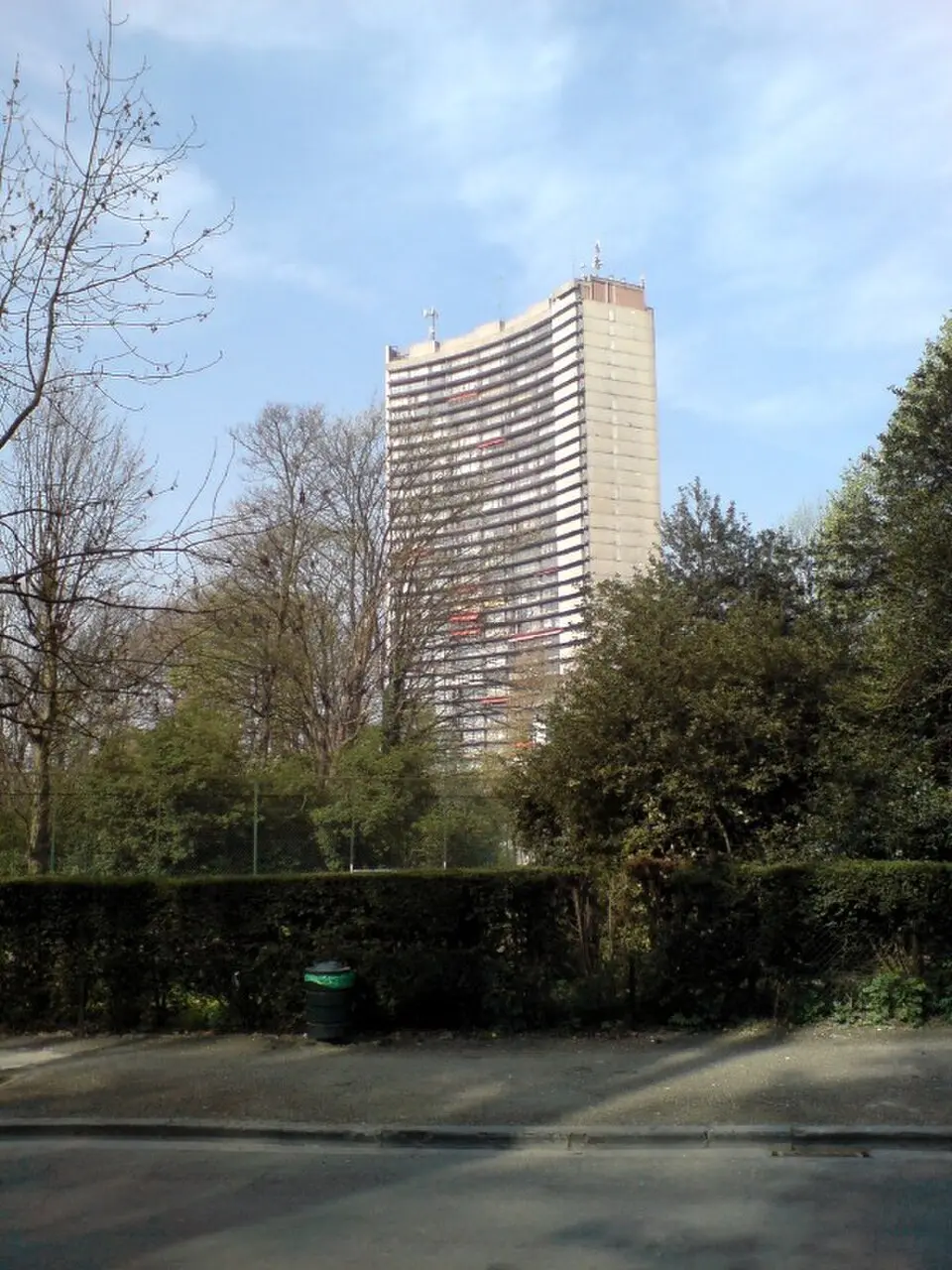 Brusilia