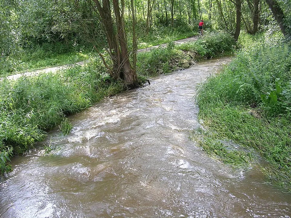 Brzina