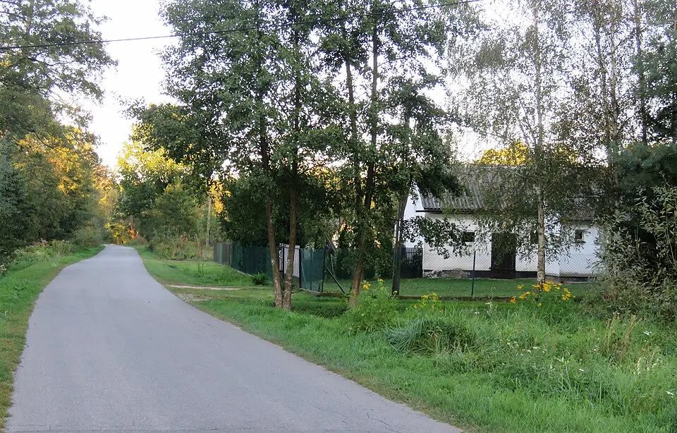 Bild: Andrzej Błaszczak · CC BY-SA 4.0 Brzozówka