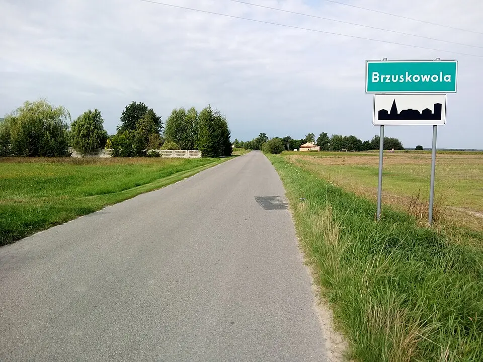 Brzuskowola
