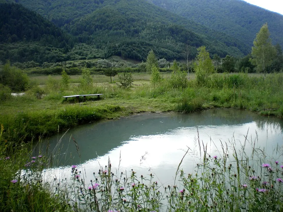 Močiar (prírodná rezervácia)