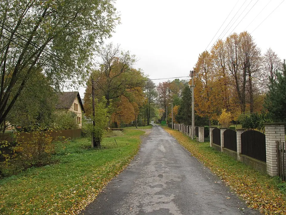 Bučávka