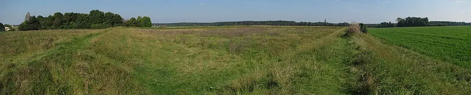 Viereckschanze Buchendorf