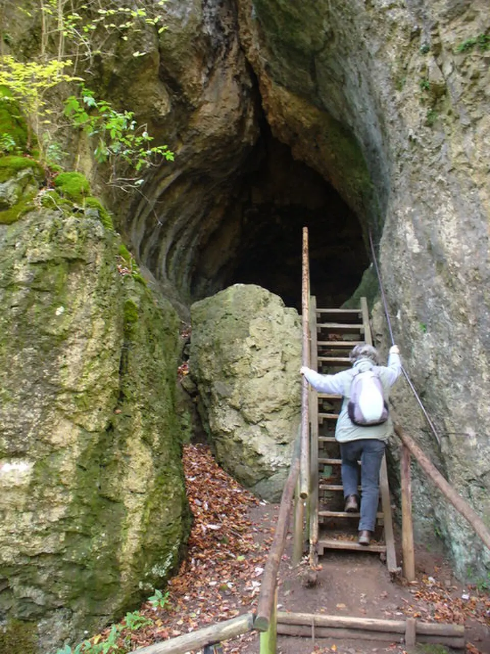 Image: Colin Smith on geo.hlipp.de · CC BY-SA 2.0 Buchenloch