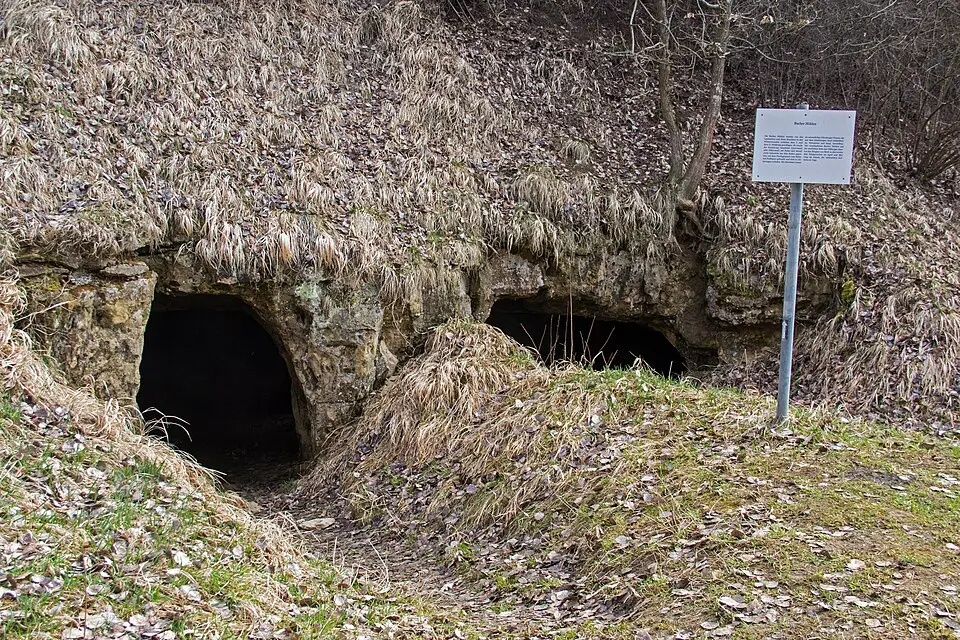 Bucher Höhle (Dillberg)