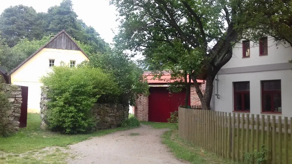 Buchov