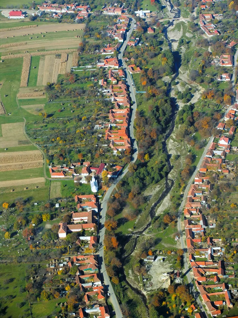 Budureasa