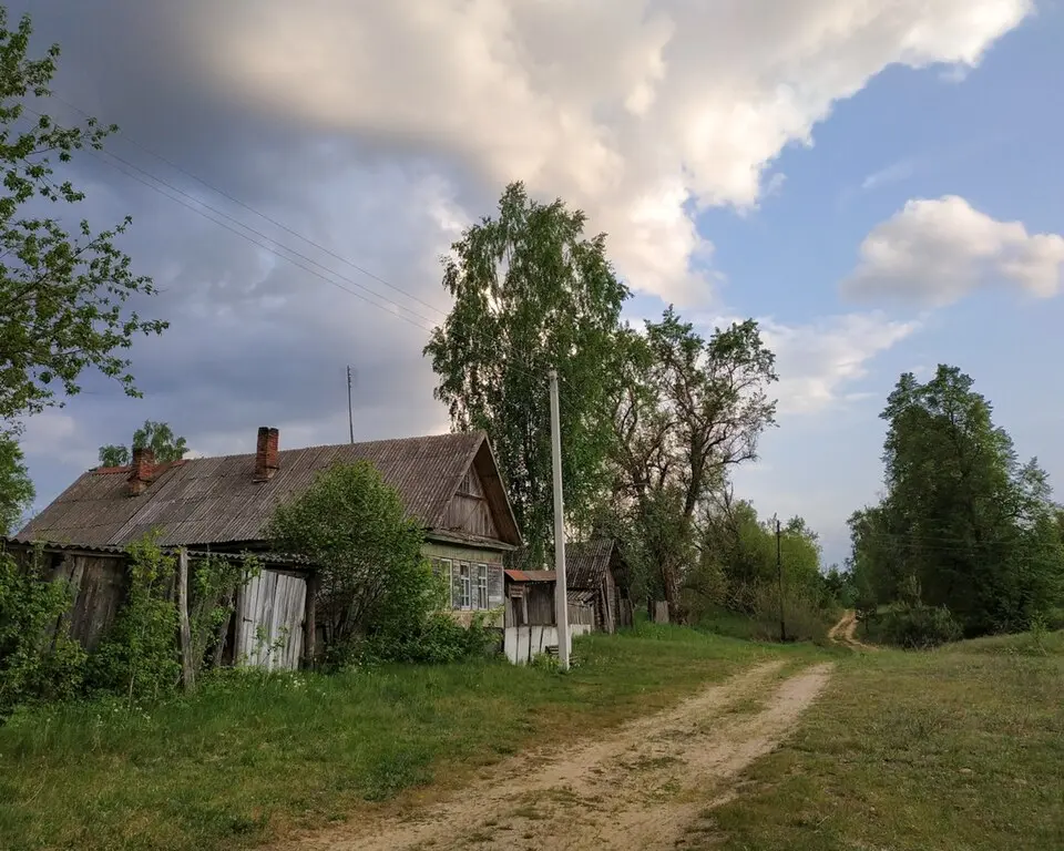 Budzišča