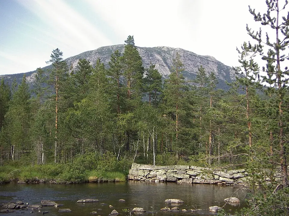 Bukollen naturreservat
