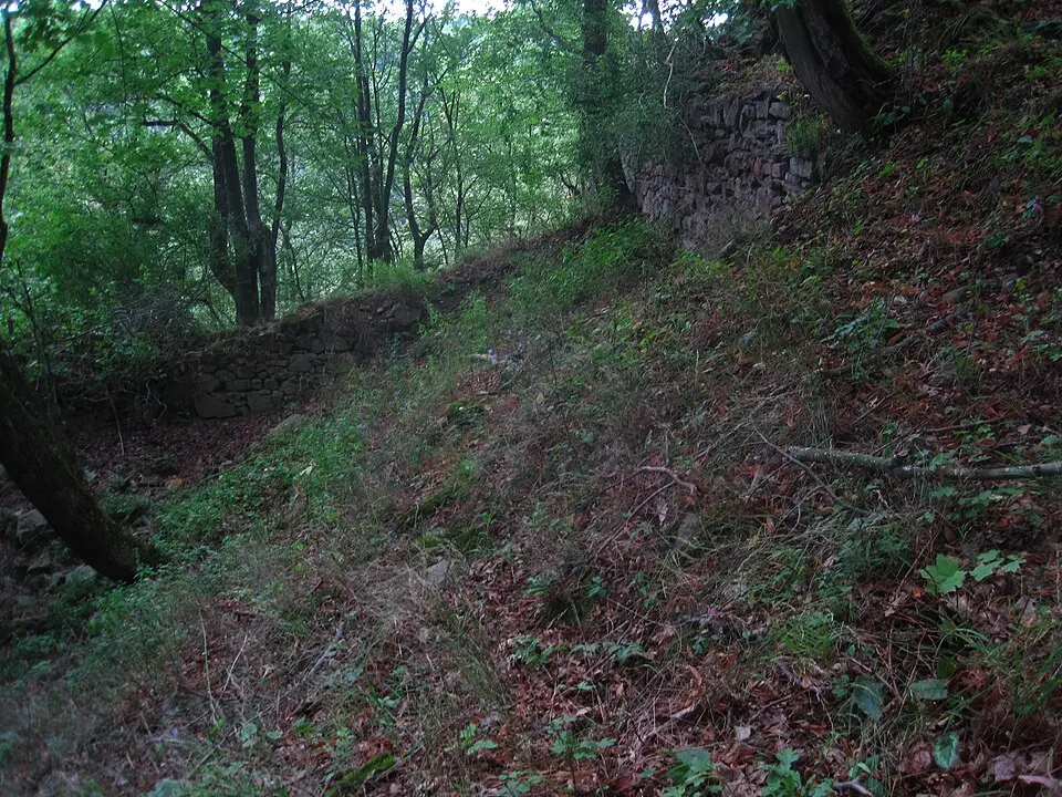 Bukovina