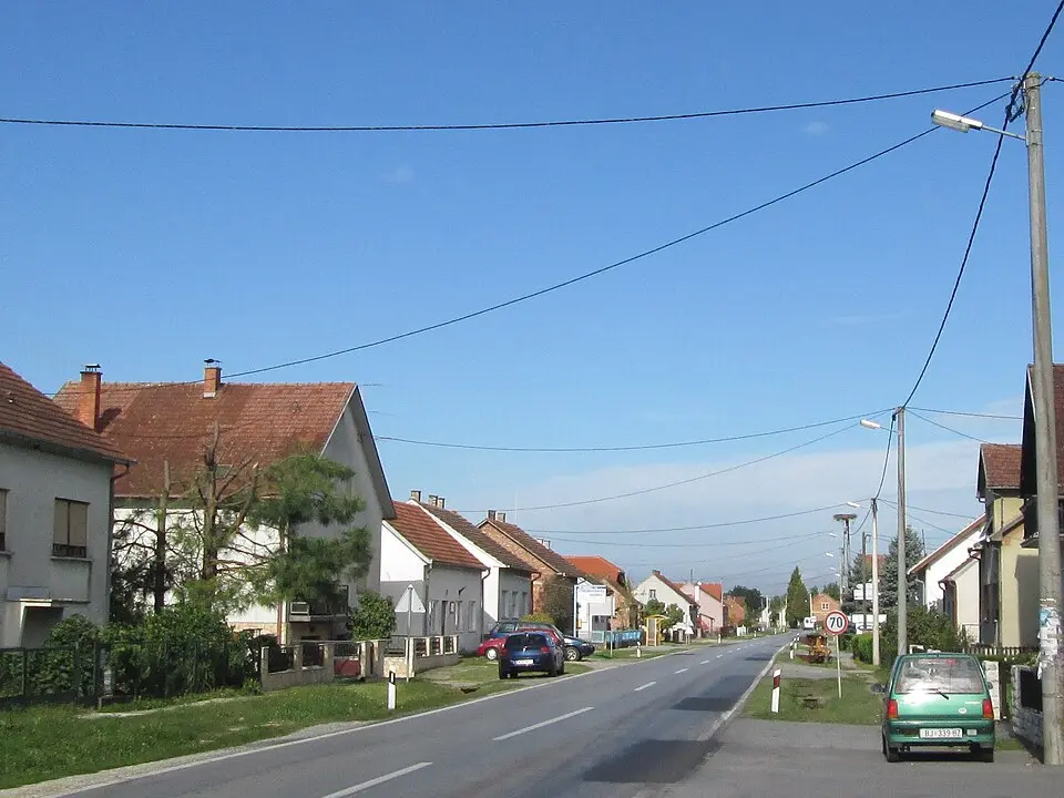 Obrázek: Fraxinus Croat · CC BY-SA 3.0 Bulinac