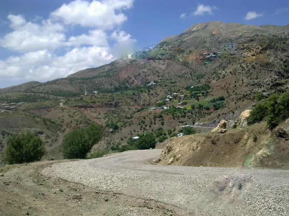 Burçaklı