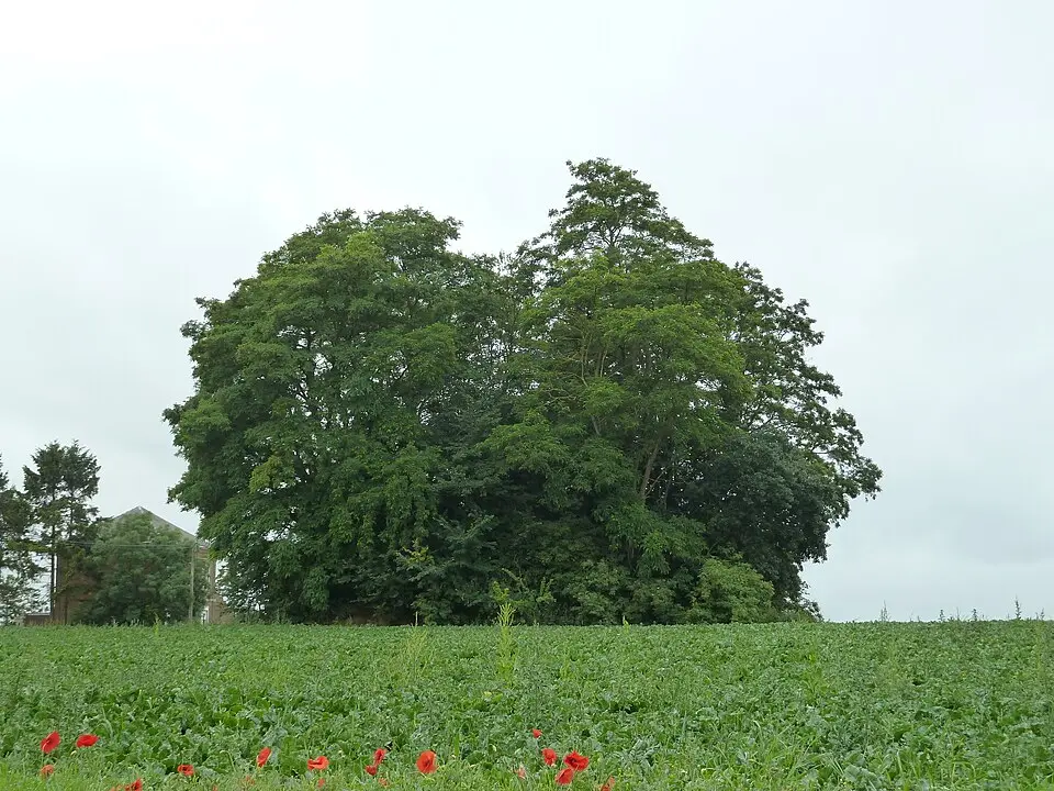 Tumulus van Vissoul
