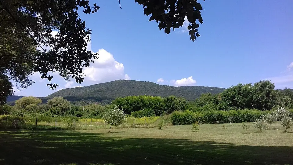 Burdov
