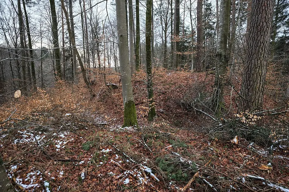 Burg Bermatingen