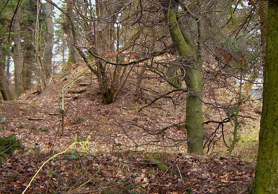 Burg Braunshorn