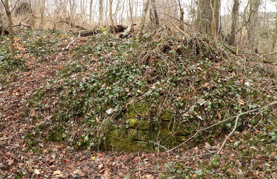 Burg Friedland