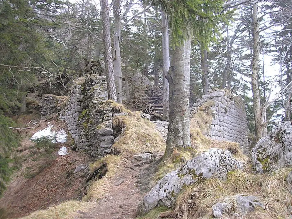Burg Hohenwaldeck