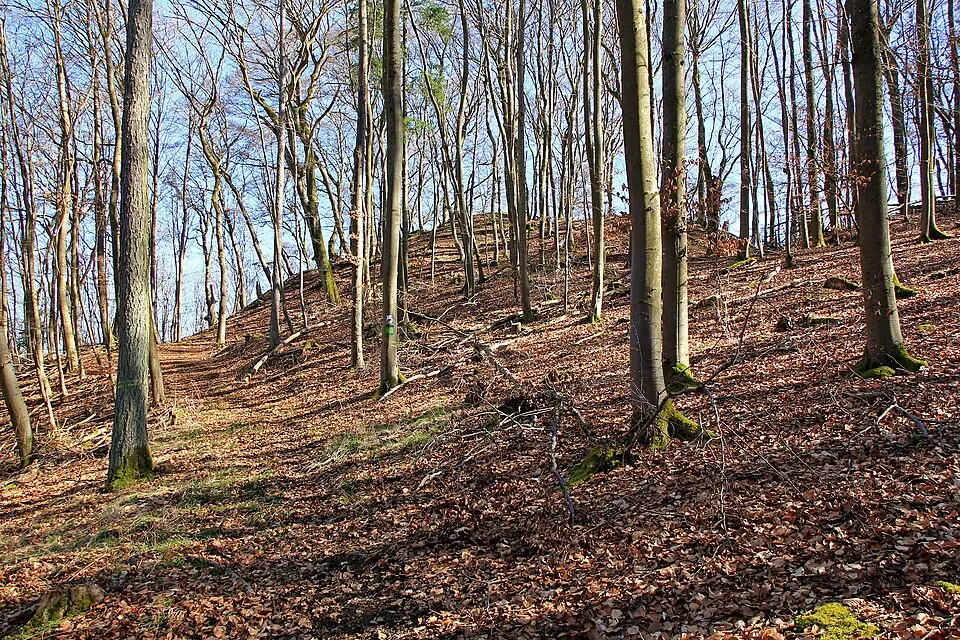 Burg Hollende
