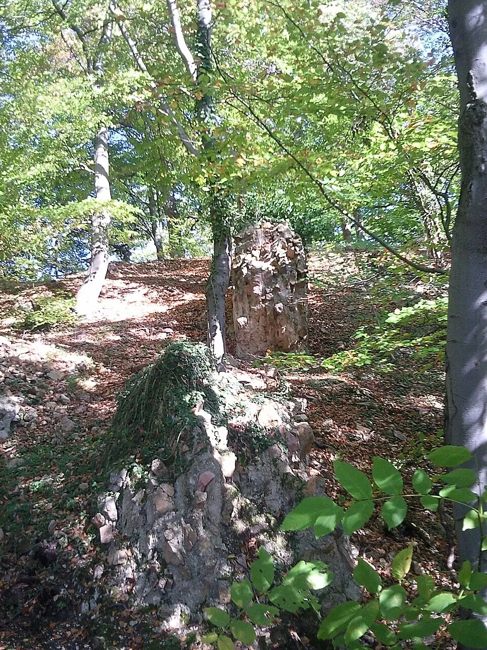 Image: Sarkana · FAL Burg Jossa