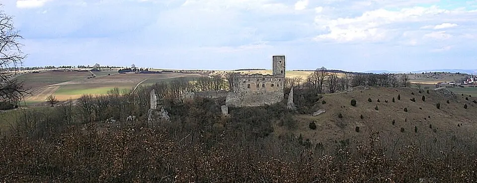 Burg Niederhaus