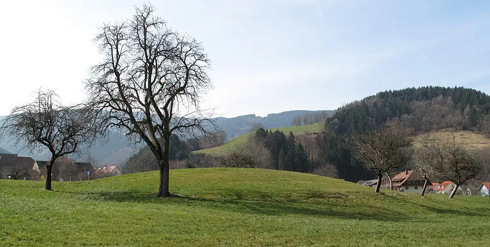 Burg Oberried