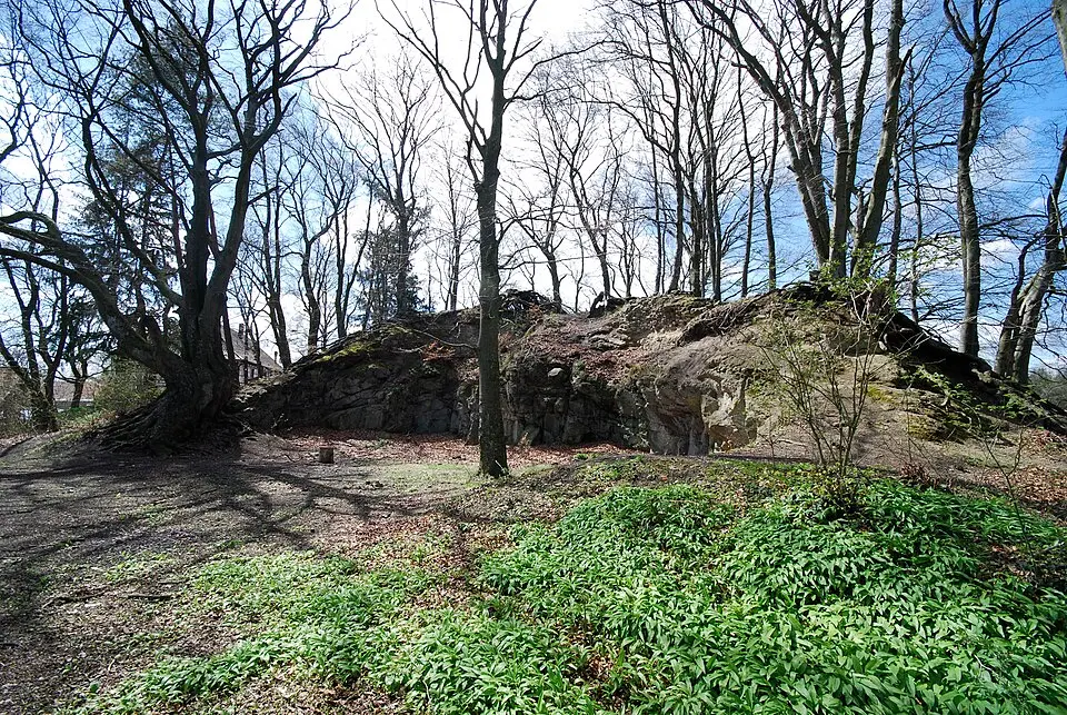 Burg Rosenegg (Hegau)