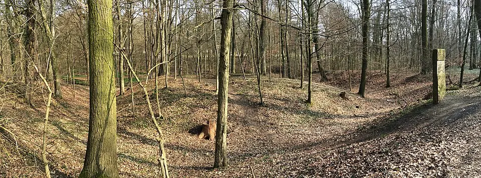 Rothehof