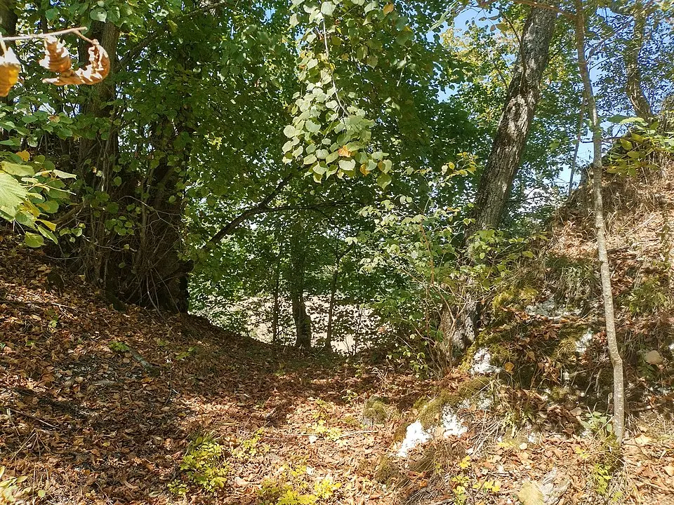 Burg Salzbühl