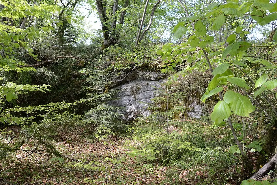 Burgruine Schönenberg