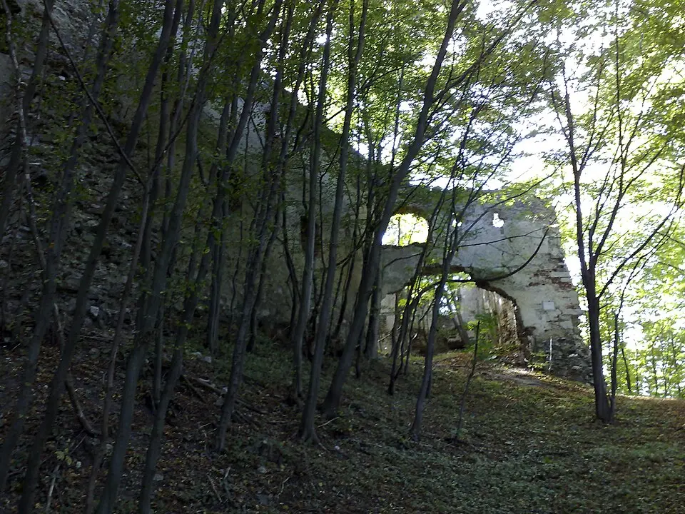 Burg Schwarzenbach