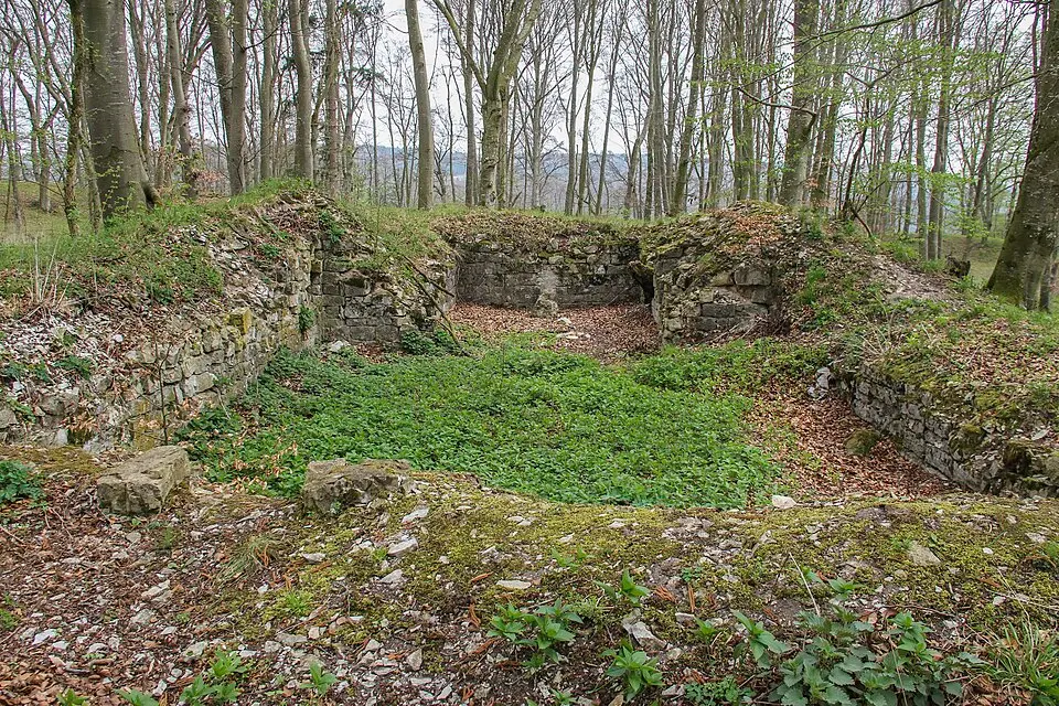 Bild: Derzno · CC BY 3.0 Burg Stahelsberg
